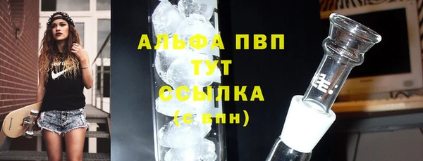 ECSTASY Инта