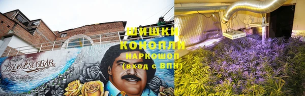 мдма Елизово