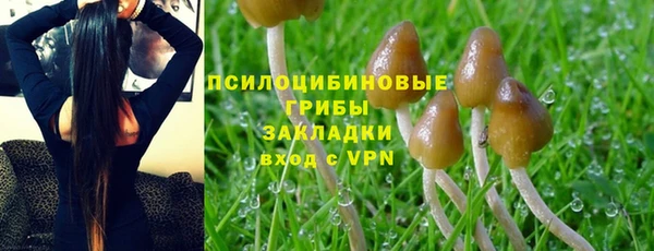 ECSTASY Инта
