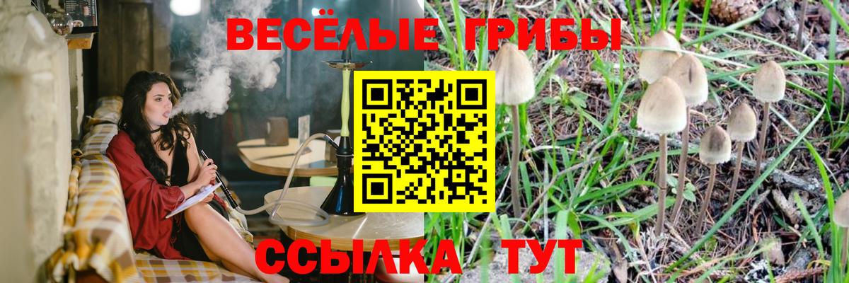 Чебаркуль  Псилоцибиновые грибы Magic Shrooms  Вход с VPN 